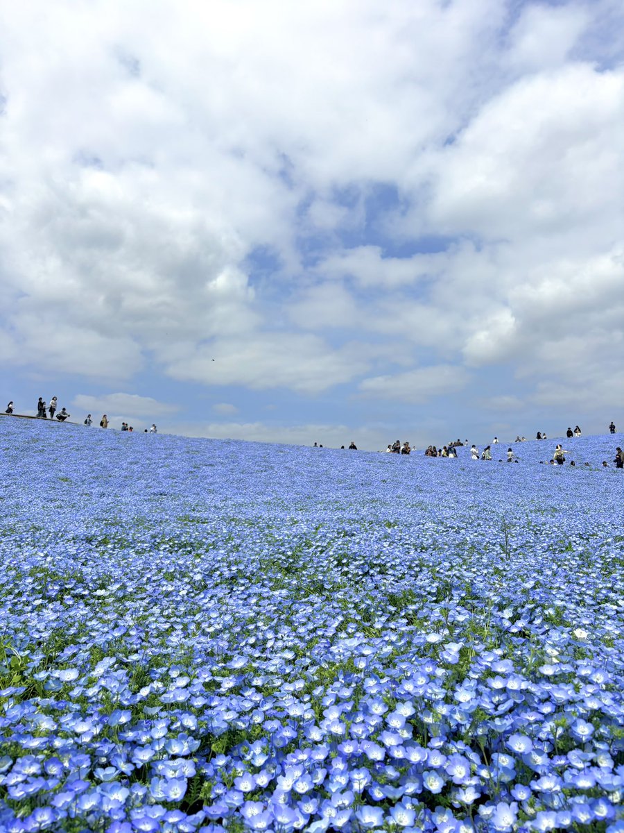 ɴ ᵃ ʳ ⁱ 𖤐˒˒ tweet media