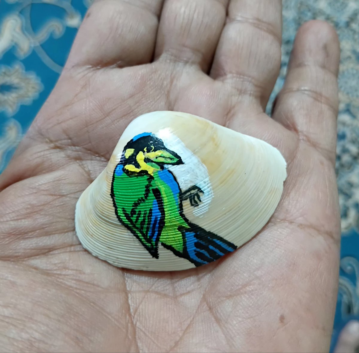 haseebsiddique's tweet image. A #miniature #longtailedbroadbill  drawn by me on a #seashell 
#Haseeb #theshaikhwithoutcamels