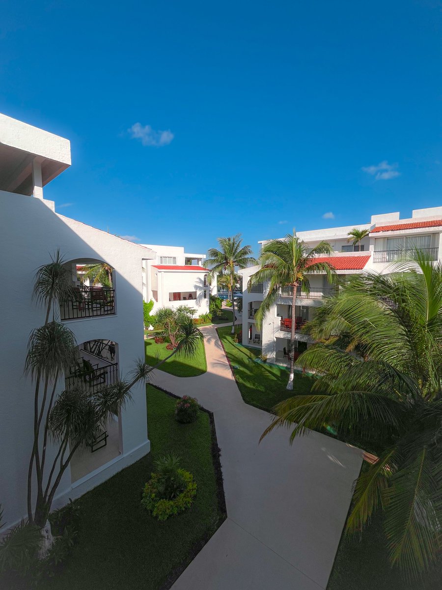 ْ🇲🇽 tweet media