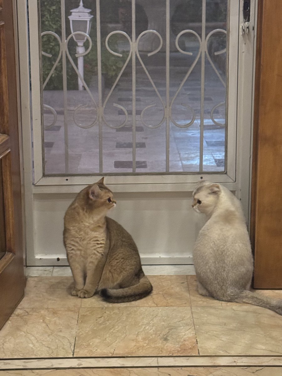 Maske qadim tweet media