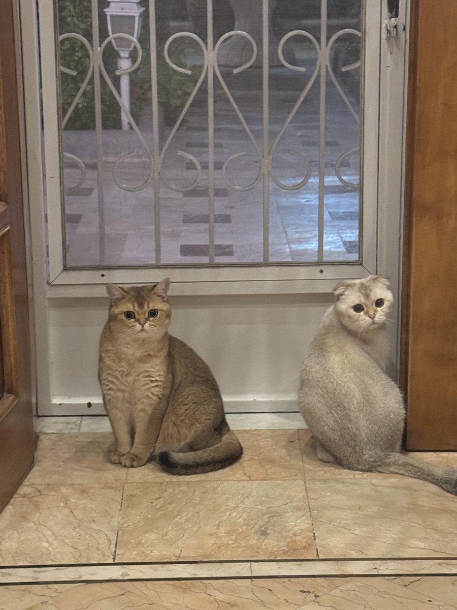 Maske qadim tweet media