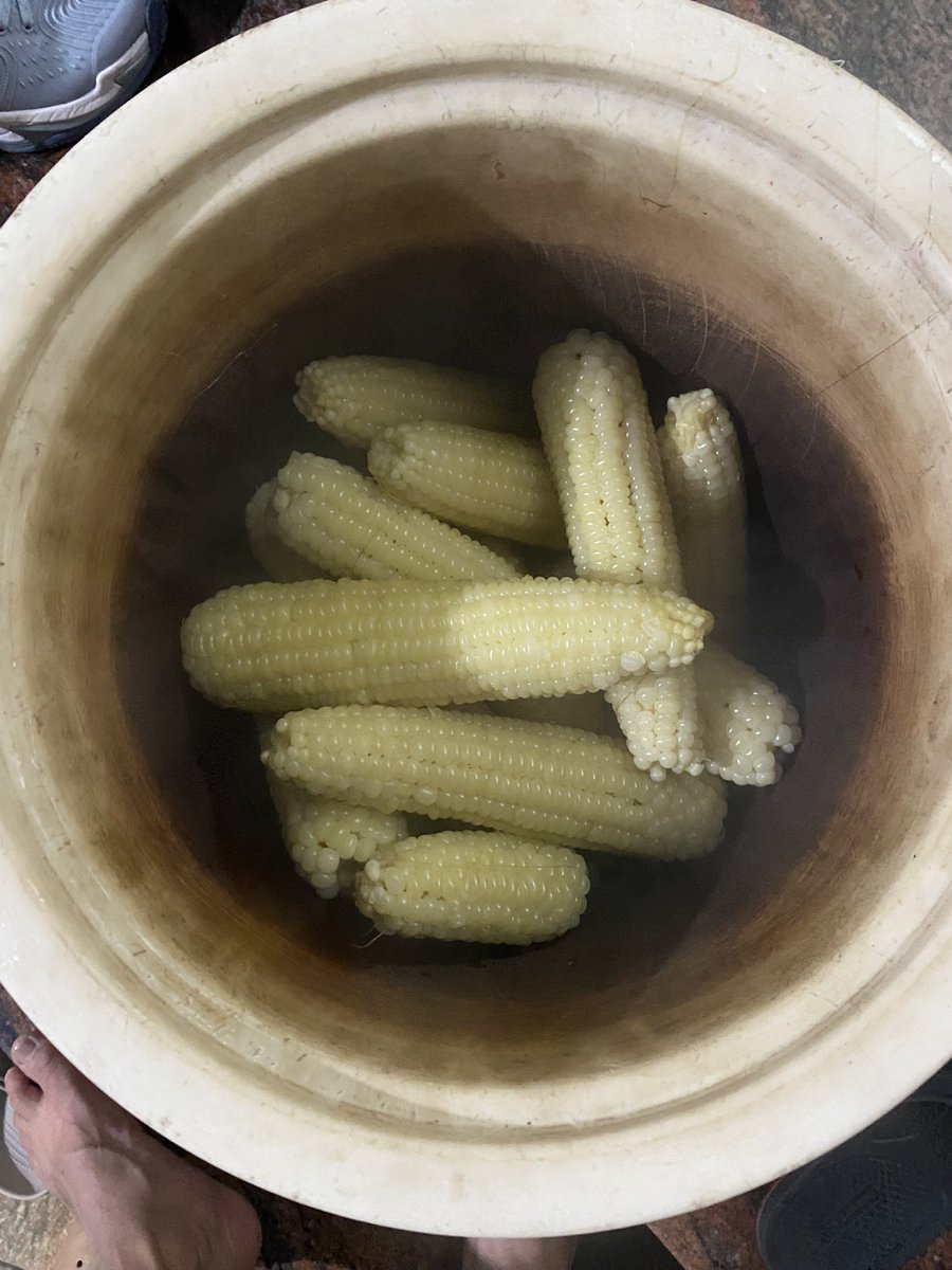 Nguyễn Văn Thắng | Tobias tweet media