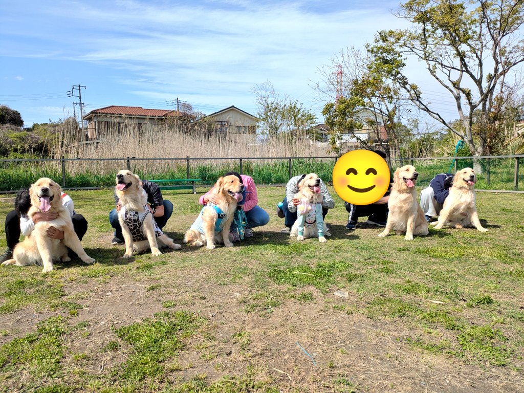 バニラ🐶もなか🐱つむぎ🐶のママ tweet media