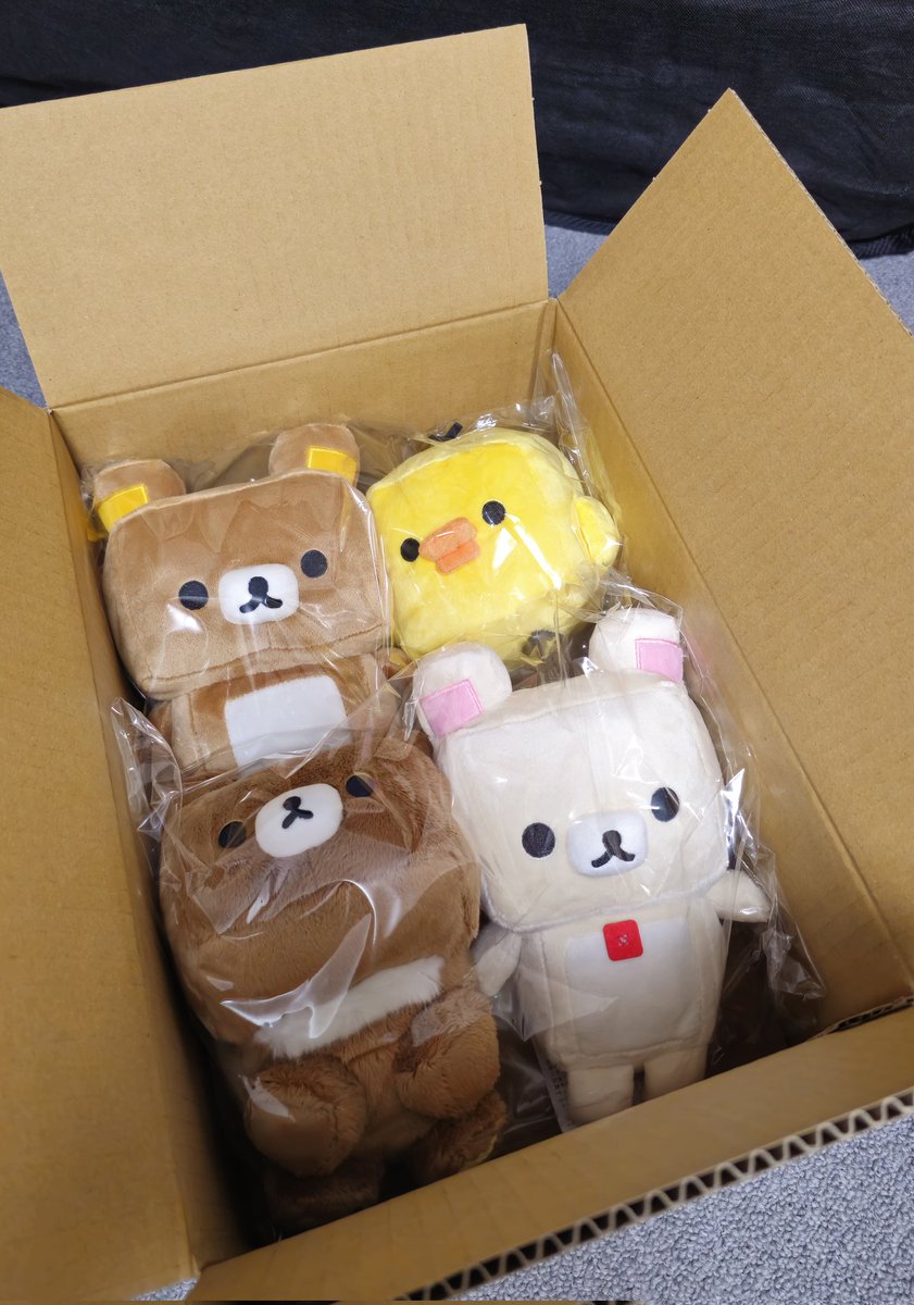 なぉぴぐ(47)🐻🍓@ベリーぎゅップ♨️ tweet media