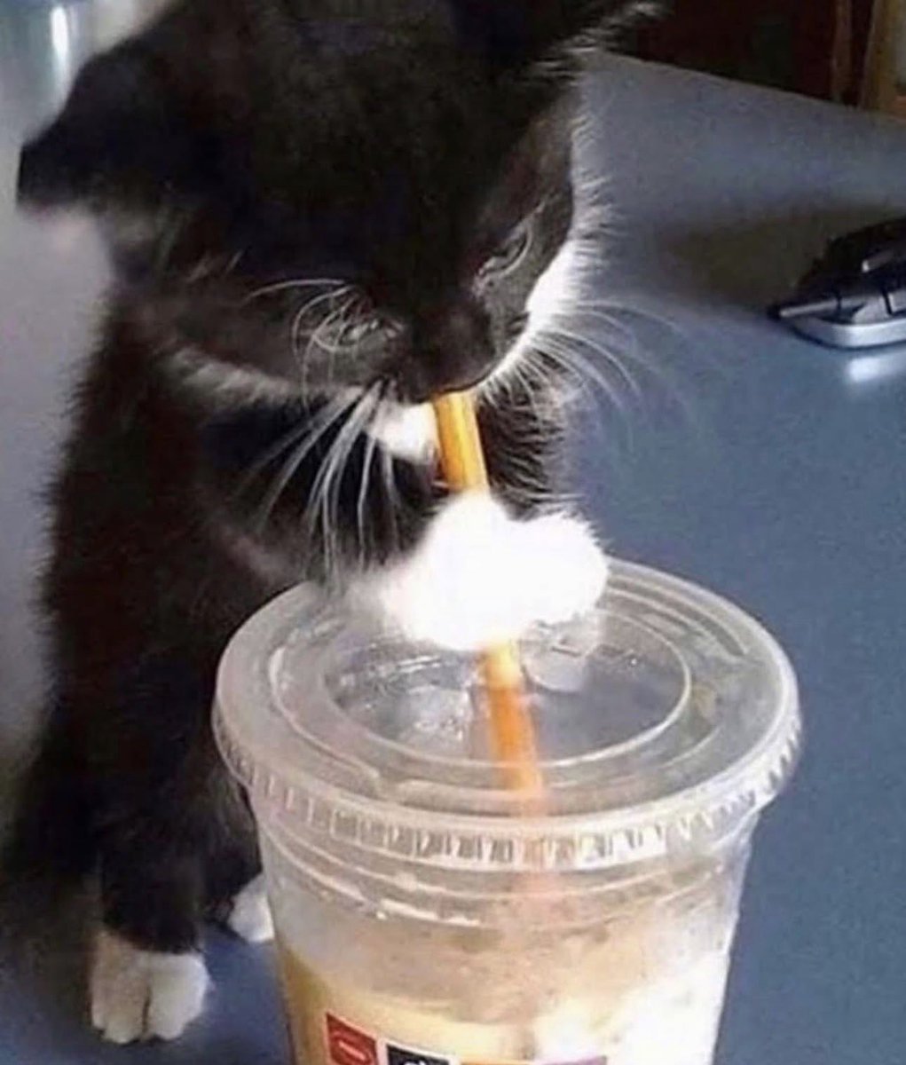 انا لو كنت بسه