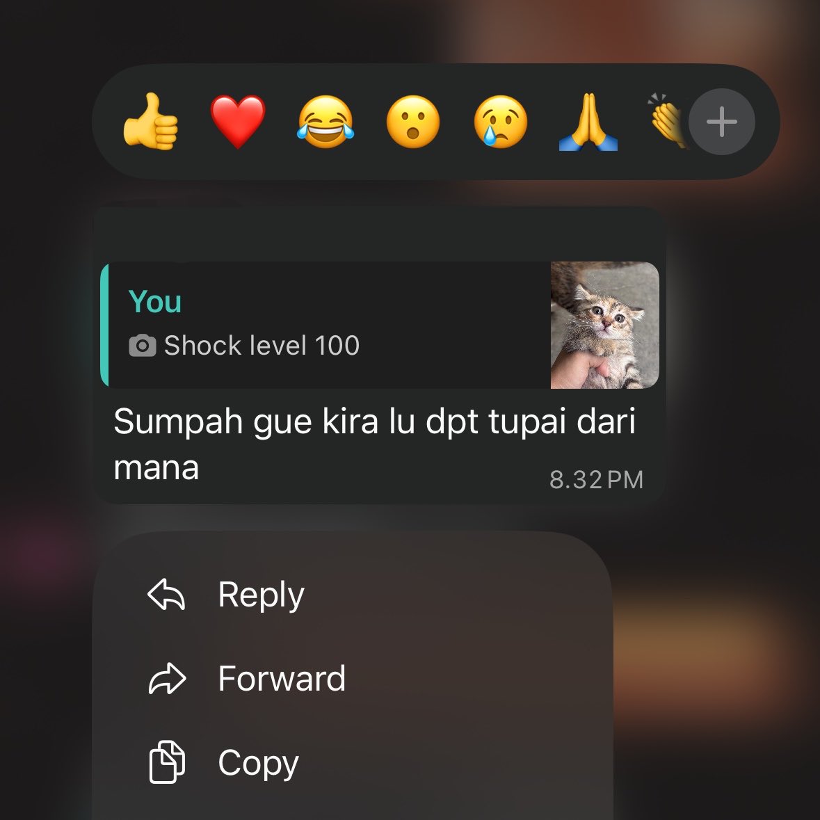 Valérie. tweet media