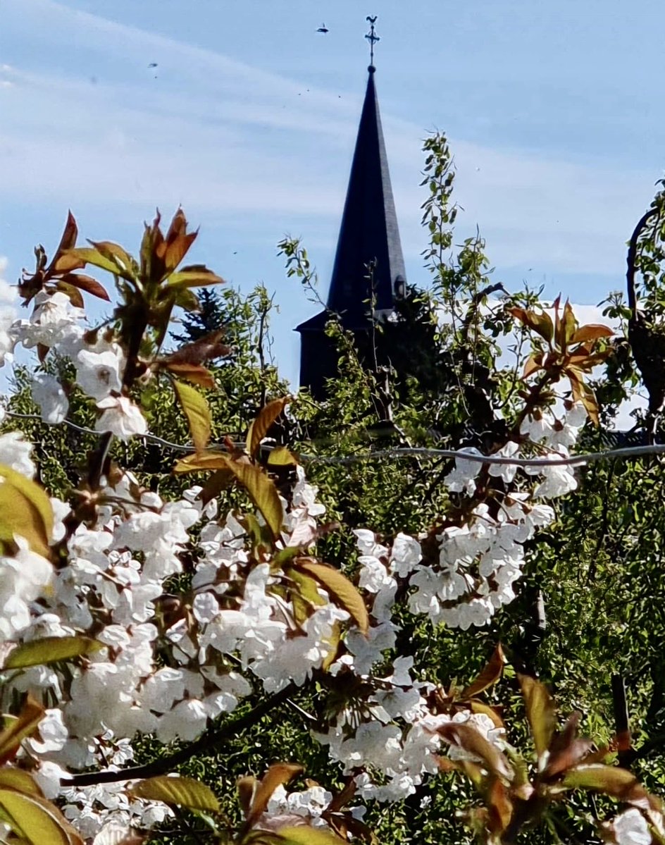 FHoppenstedt's tweet image. It’s “Simple Saturday”!

#HappySaturday
Please share a photo that simply brings you joy!

Unterwegs....