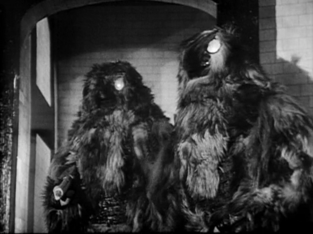 Dimmeh Looming tweet media