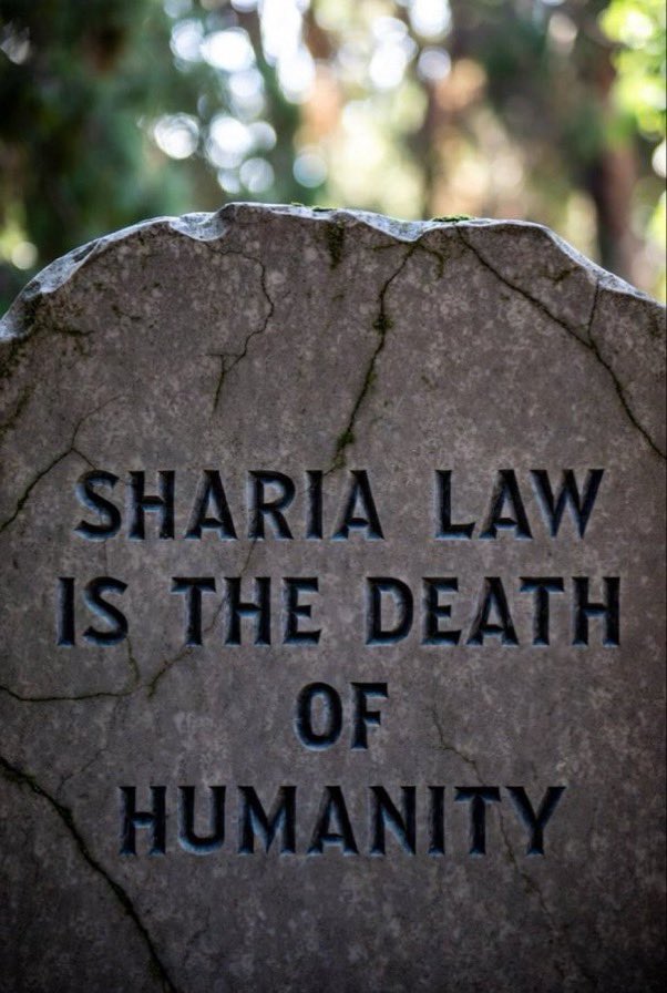 SonofLiberty357 tweet media