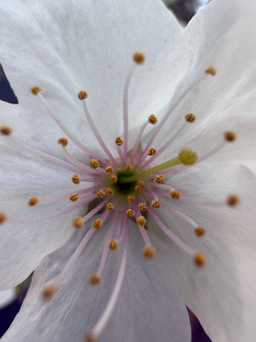 hannie ☻ tweet media