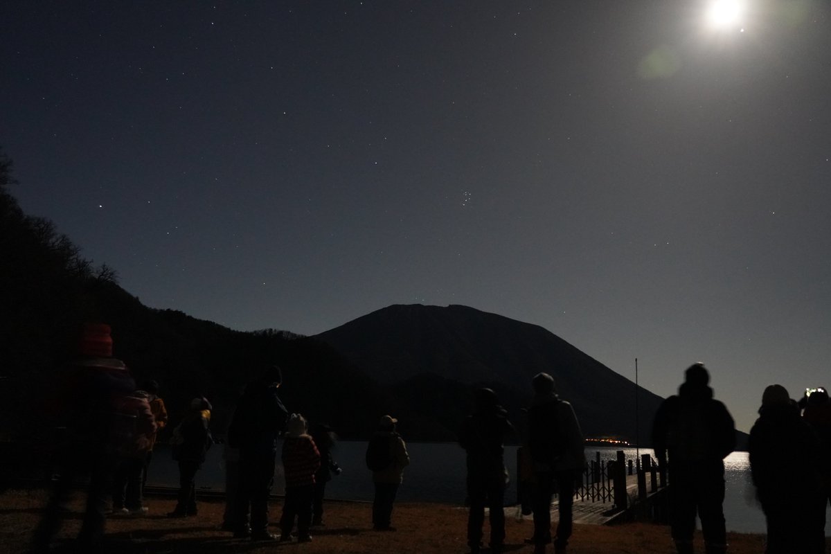 日光自然博物館 tweet media