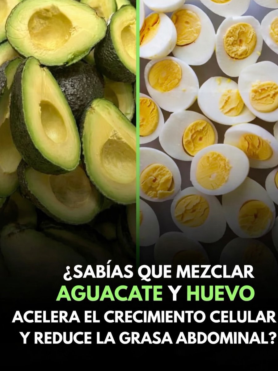 Rafa Alpha tweet media