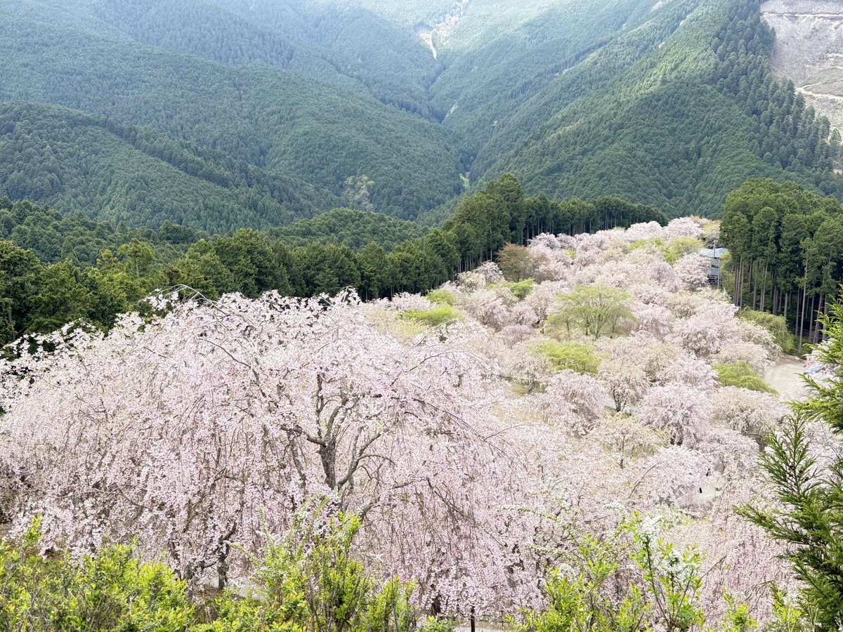 らむらむ tweet media