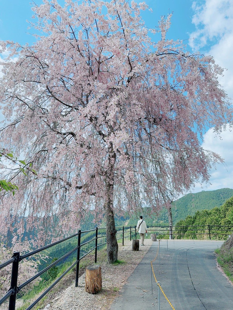 らむらむ tweet media