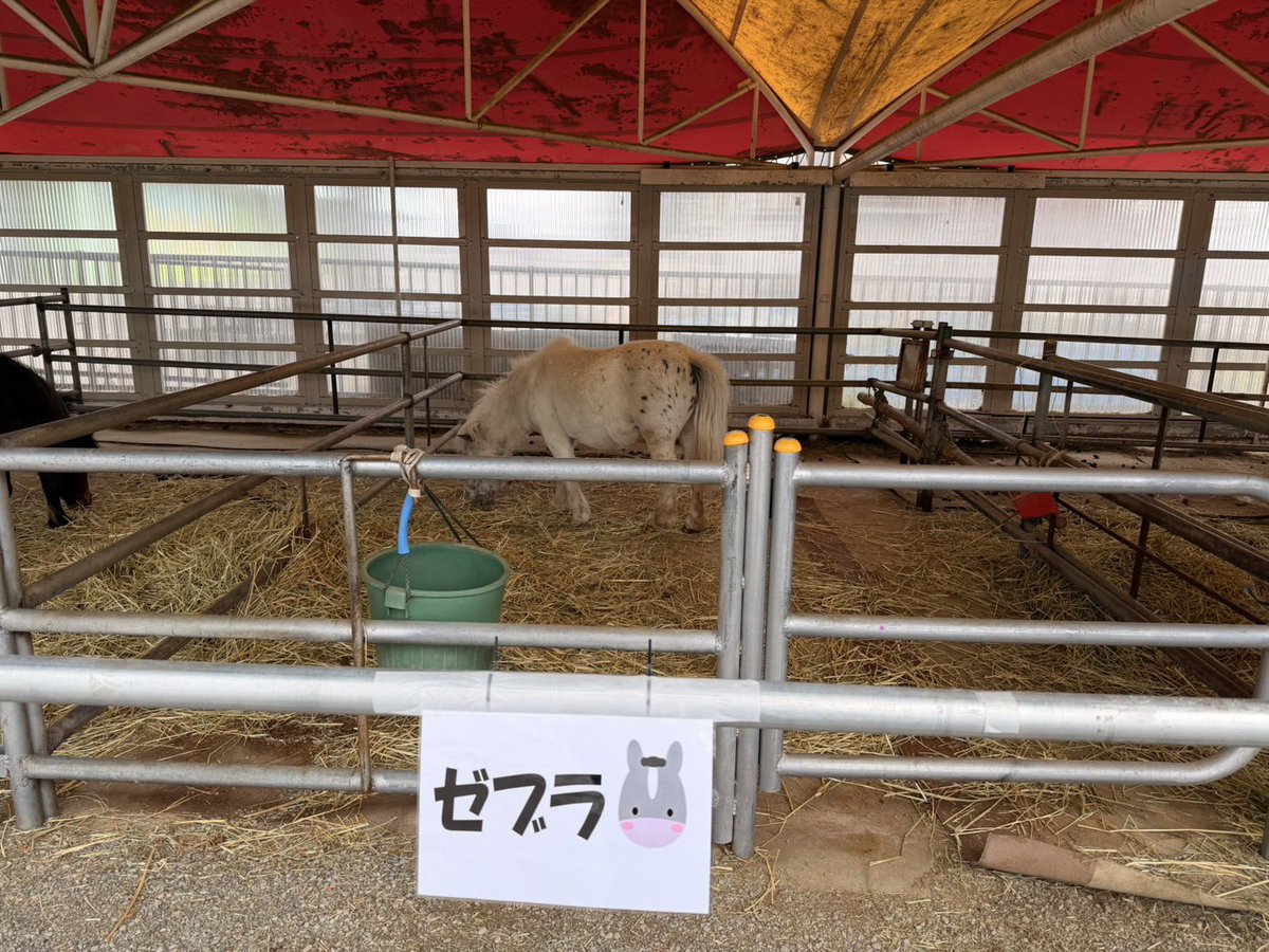 岡野昭仁　ポルノグラフィティ tweet media