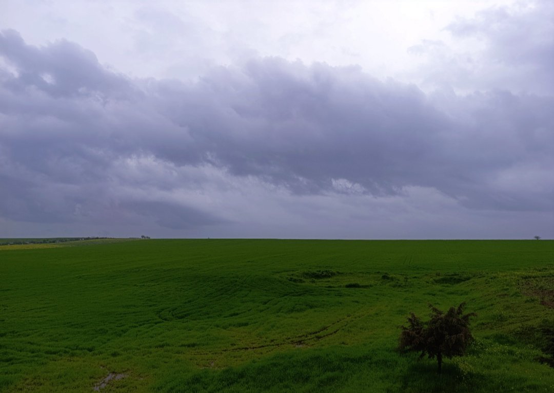 cınsıyet ne tweet media