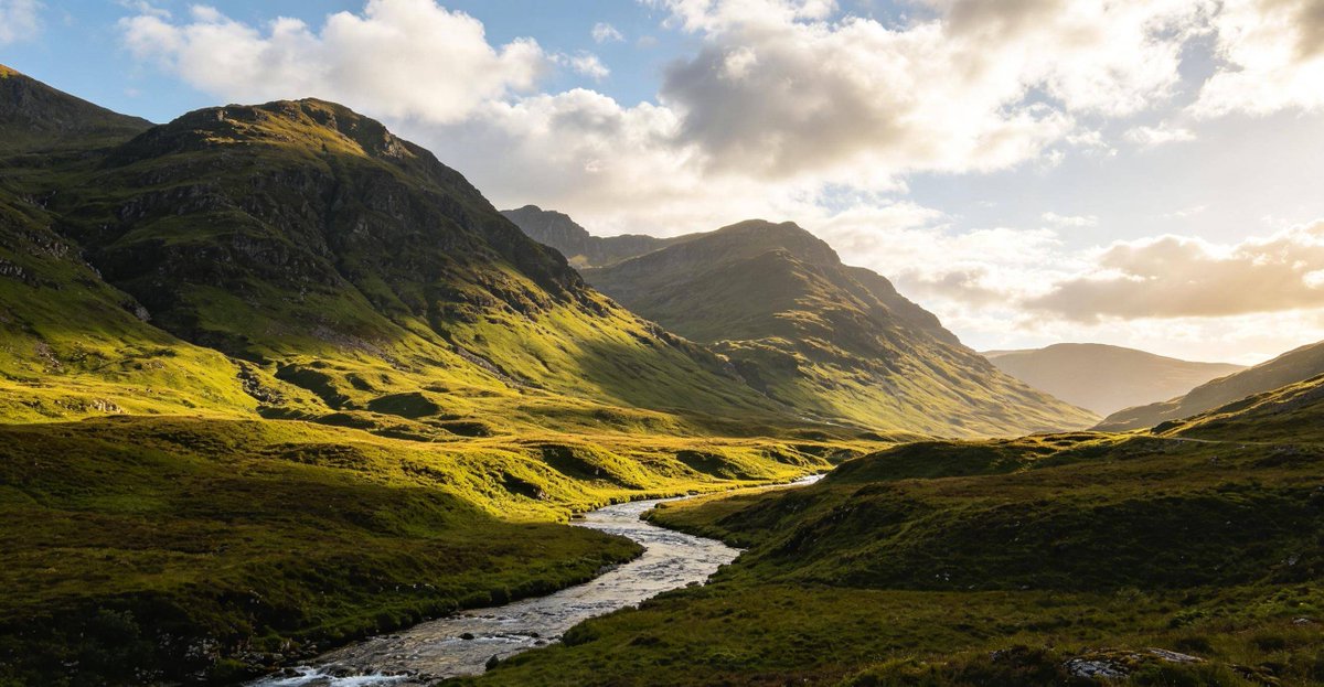 Yurtcan38's tweet image. Swapped 1-hour daily scrolling for 30 mins of morning walk + 30 mins of evening reading. Energy up 2x, focus sharper—small shifts, big glow #LifeTinyWins #DigitalDetox