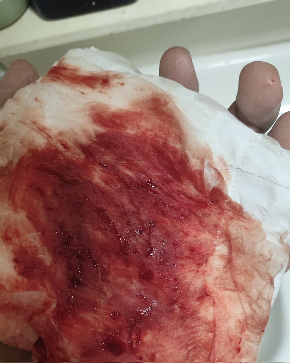 𓏵喵小懒𓏵 tweet media