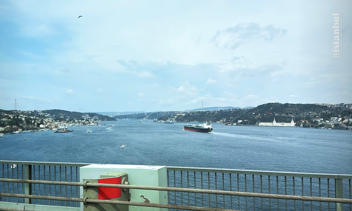 Yesenia 🦋 tweet media