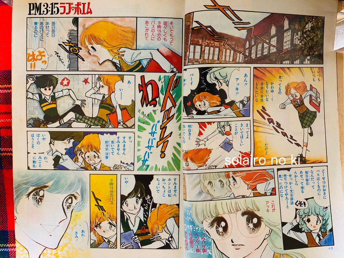 そらいろの樹🌿🕊️ tweet media