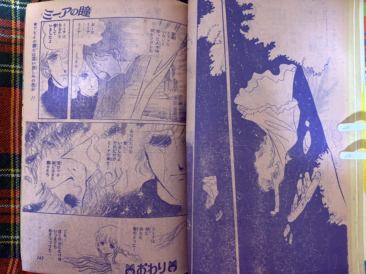 そらいろの樹🌿🕊️ tweet media