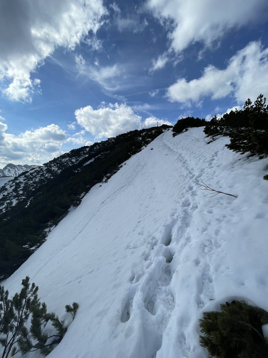OndraTregler's tweet photo. jägerkamp ⛰️ https://t.co/GPNexF5HMM
