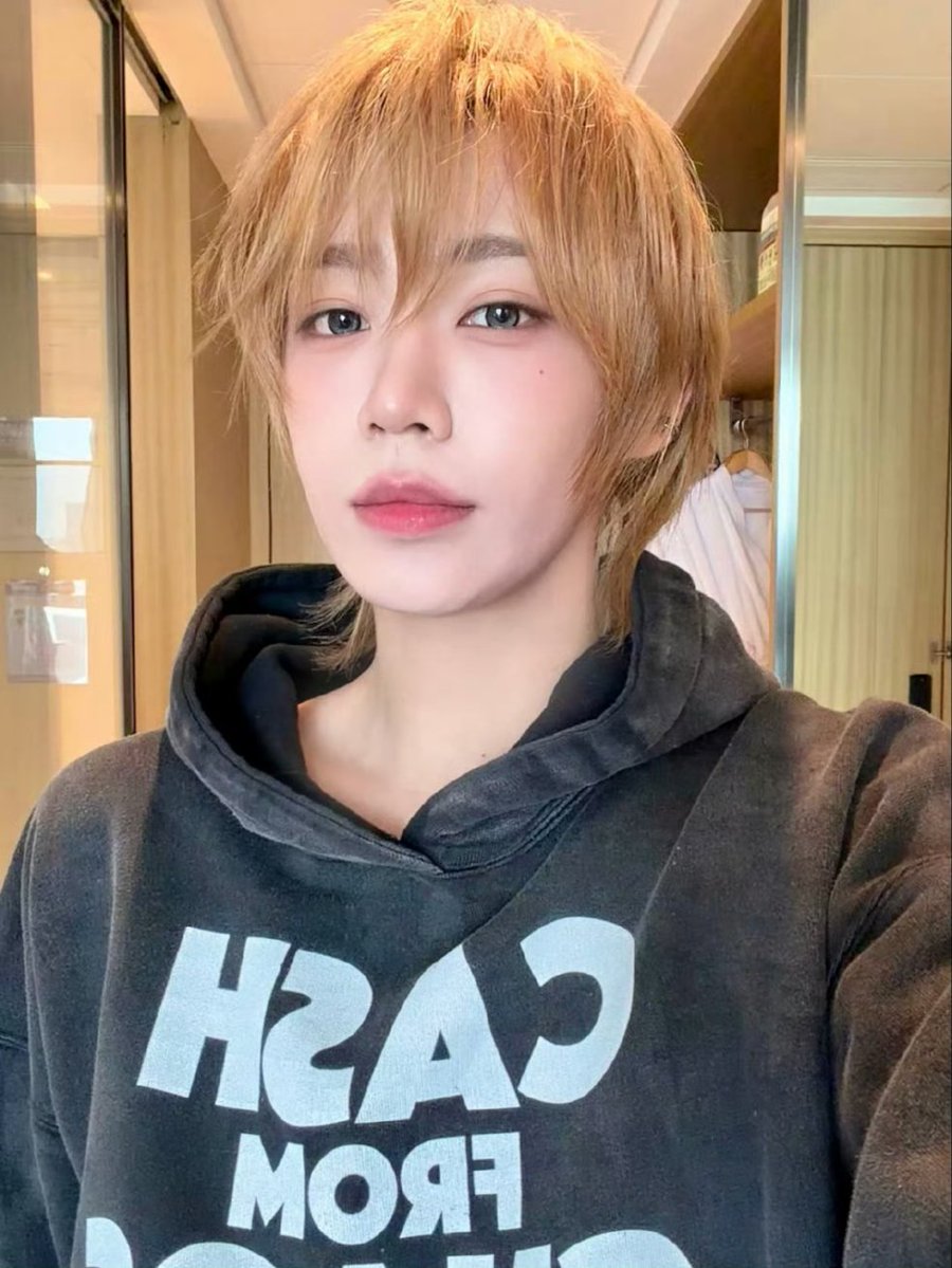 ᔕ 🌱 tweet media