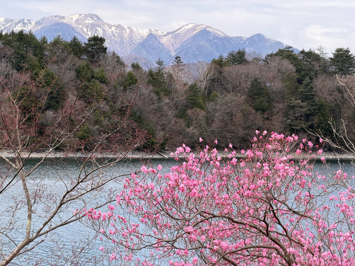 日光自然博物館 tweet media