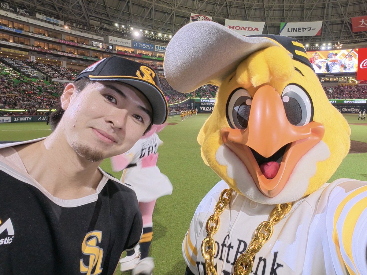 ハリーホーク（公式） tweet media