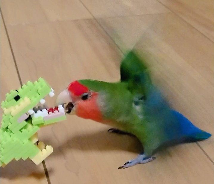 くりさん🐥🎄 tweet media