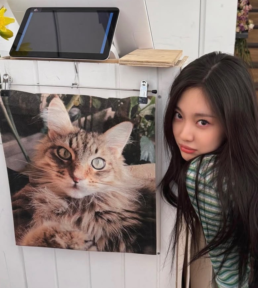 BERMUARA. tweet media