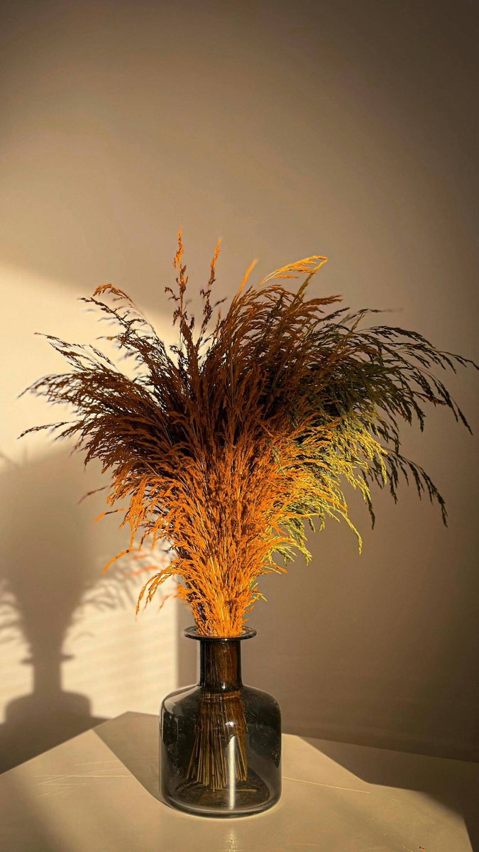 Muhammad Rafi Aditya tweet media