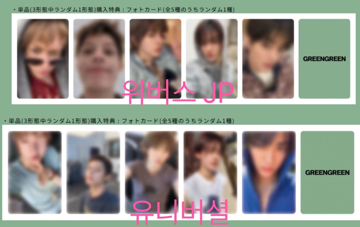 치즈냥 tweet media
