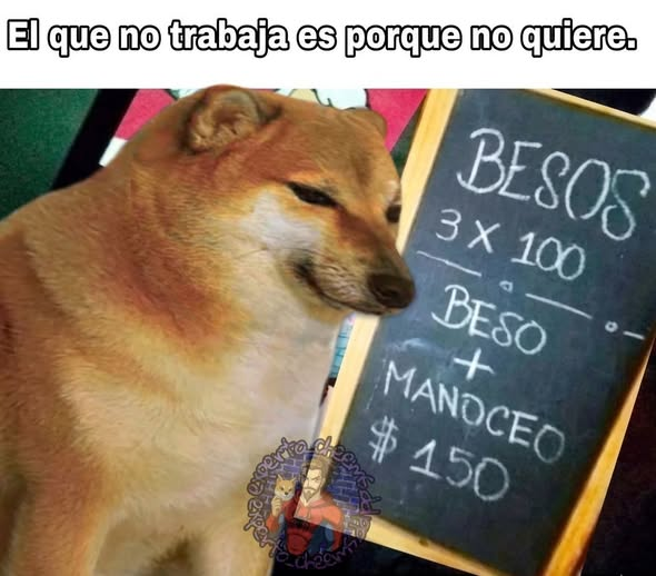 LA PULGA GIAUMAKA (@lapulgatusa) on Twitter photo 