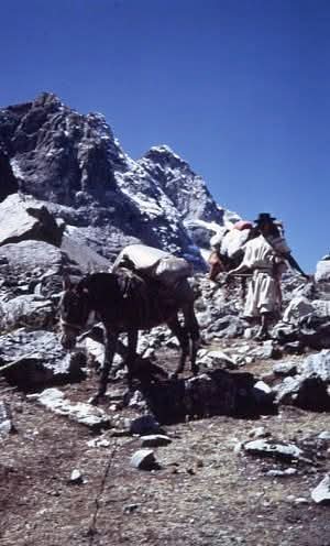 elatanquero's tweet image. Desde la Sierra Nevada de Gonawindua, 🇨🇴 pueblos Arhuaco, Kogui, Kankuamo y Wiwa alzan su voz por la protección de la Línea Negra, base espiritual y equilibrio del territorio sagrado.
#Indigenous #Cultura #Identidad #Tradición
