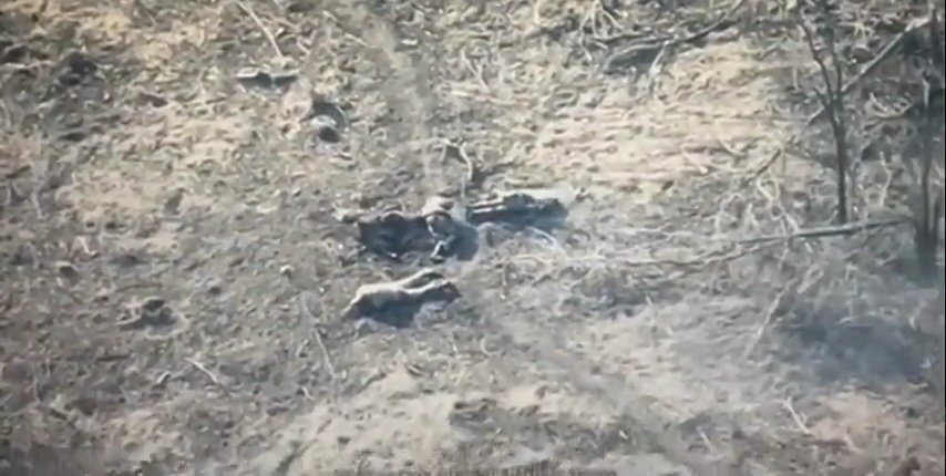 The Ministry Of Ungentlemanly Warfare tweet media