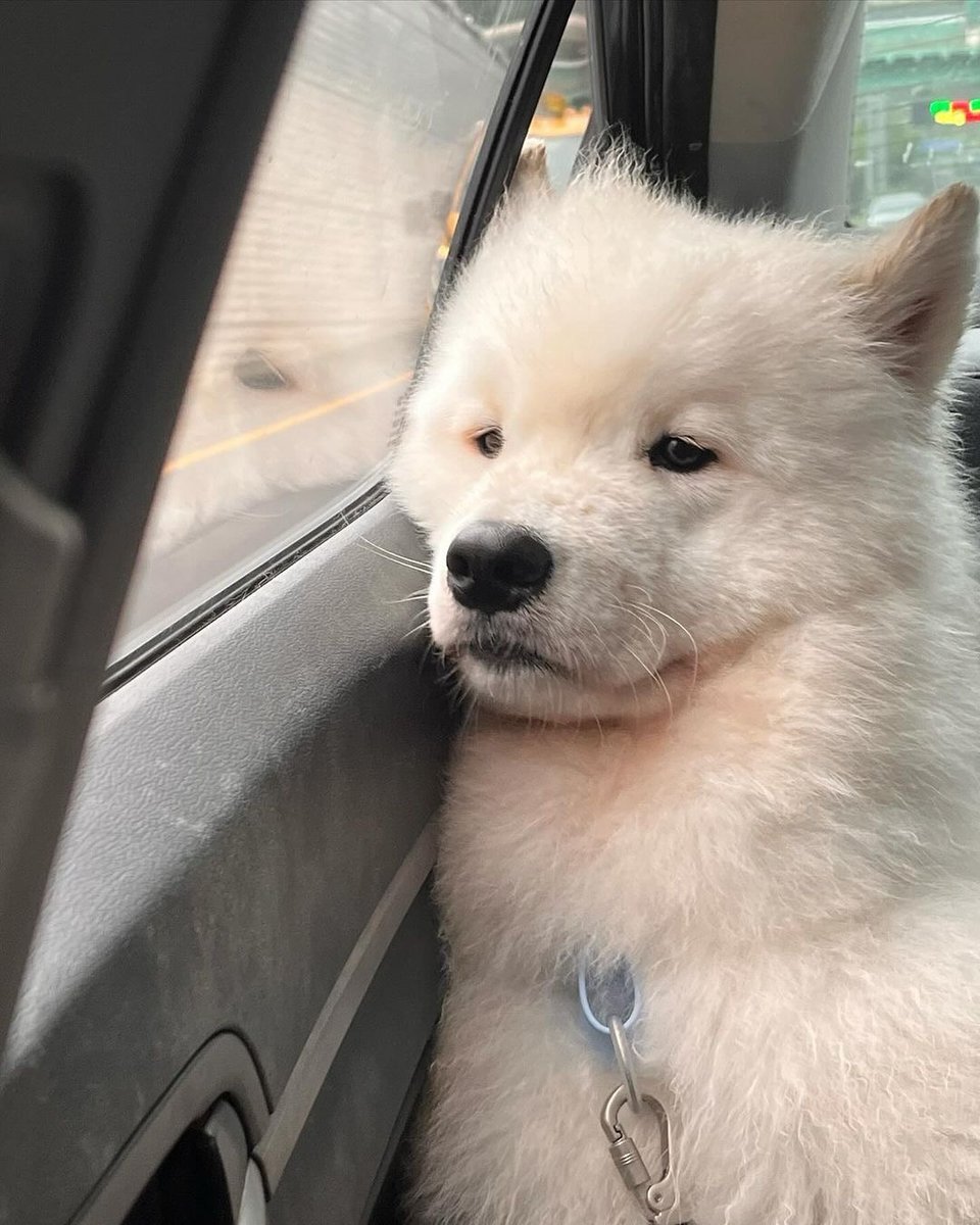 여백🐾 tweet media