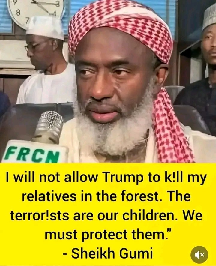 WEB0 GUY tweet media