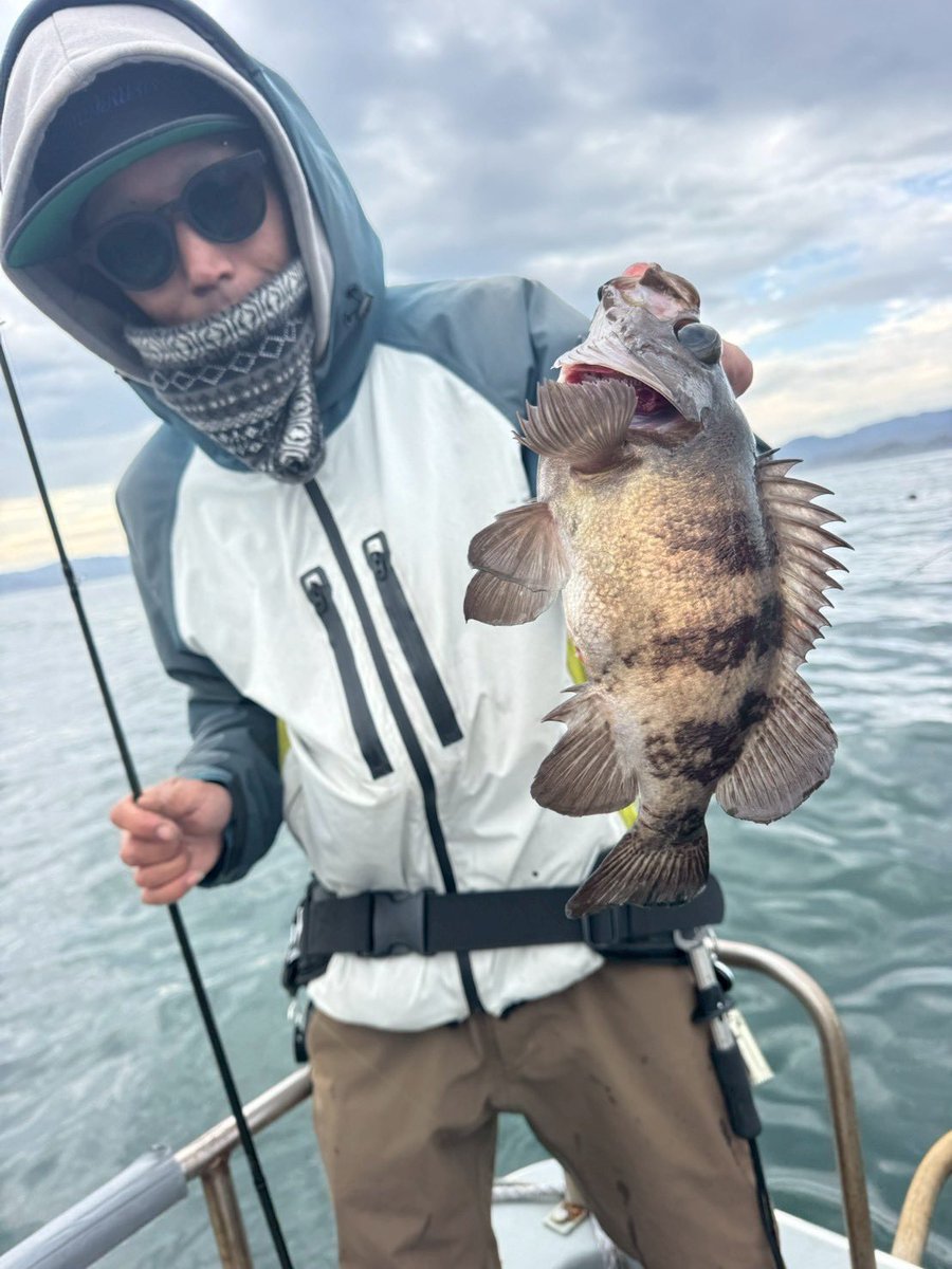 てった tweet media