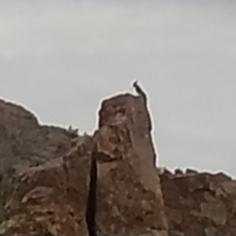 ☮️ все вокруг ебанулисс ̆͗̏ͨ̆ͩс̏ͫ̏̒̆̇ ̐́́ tweet media