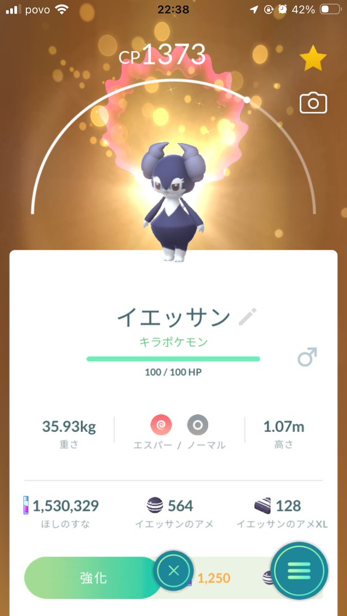 とろさん⭐︎@ポケモンGO tweet media