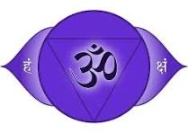 sen_shahana's tweet photo. The Third Eye chakra, is the center of intuition, clarity, and inner wisdom. When balanced, it helps you trust your instincts and see beyond illusions. Confusion, a lack of focus, overthinking, and difficulty making decisions, indicate a blocked chakra.
#ThirdEyeChakra #India https://t.co/fCRJzSjUok