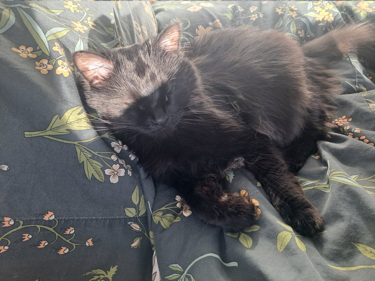 酸塊ﾅﾂﾒ tweet media