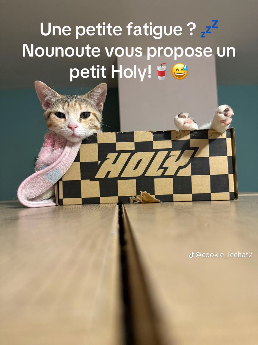 6_mon 🇫🇷 tweet media