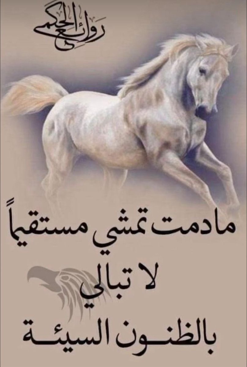 Mohammad alotaibi tweet media