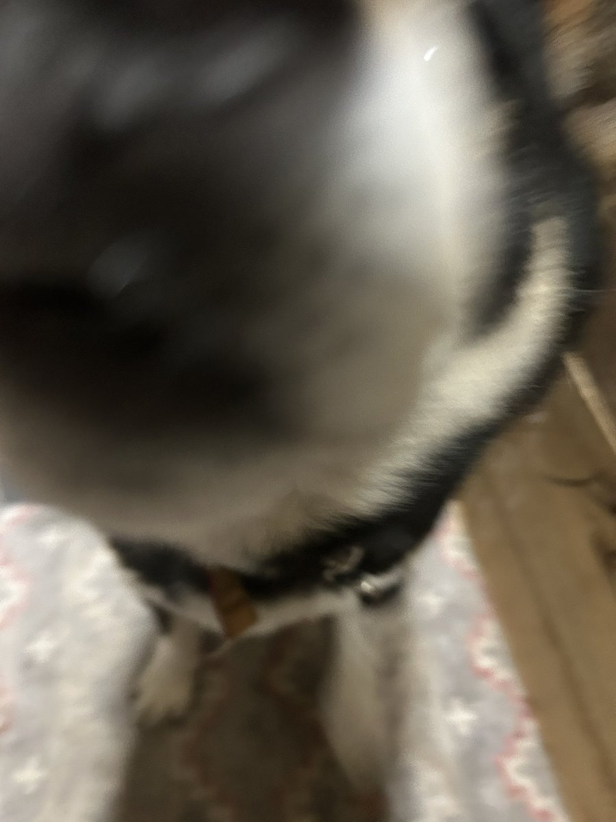 どｱﾝﾀﾞ-ちょめ子 tweet media