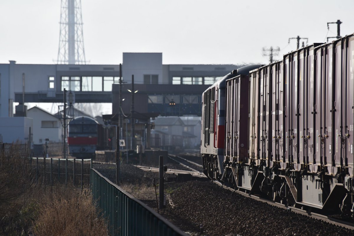 Furico283 tweet media