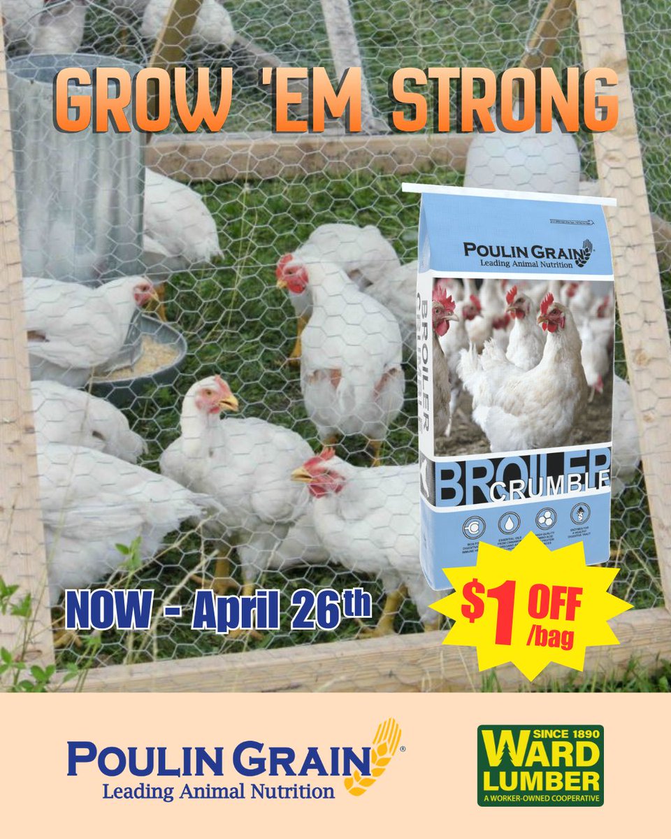 wardlumber's tweet image. Grow ‘em STRONG 💪 with Poulin Grain Feeds available every day. Swine Grower, Turkey Grower, and Chicken Broiler Crumbles all $1 off now through April 26th.🎉

PLUS order $200+ in feed and get FREE DELIVERY!🚚

#WardLumberStrong #WorkerOwned #ShopLocal #ADK #NorthCountry
