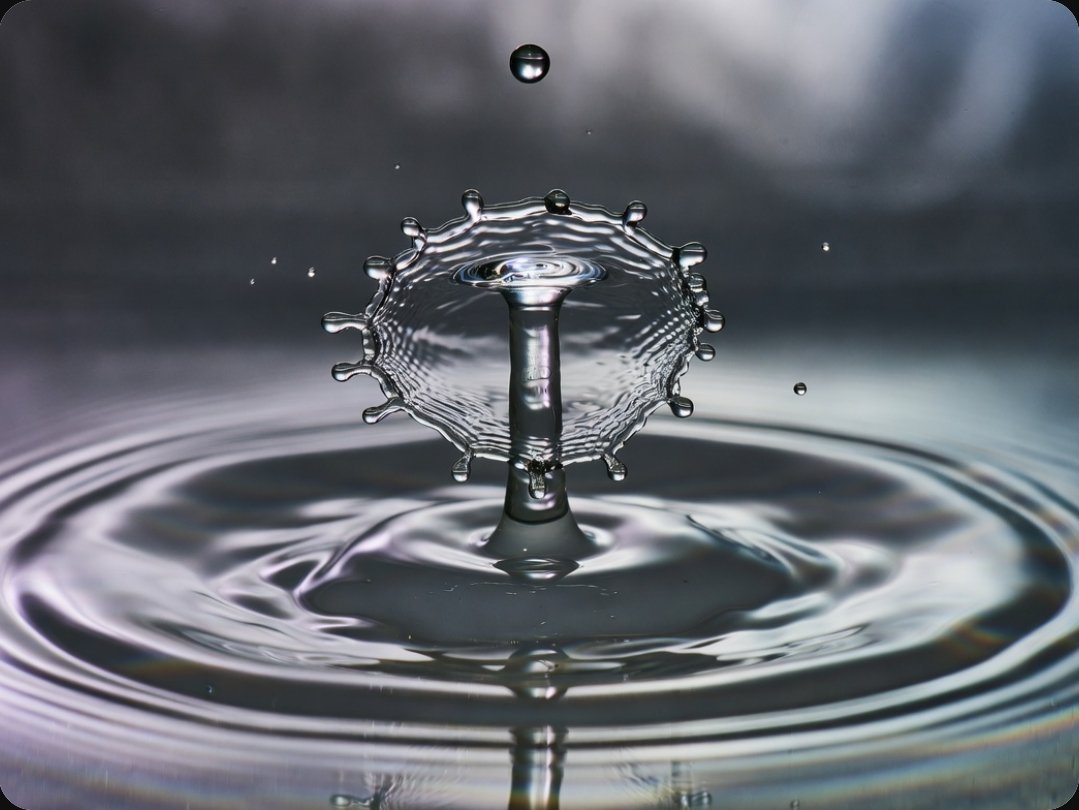 ثريدز tweet media