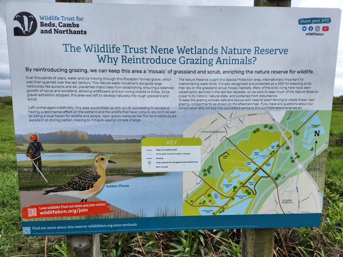 Tom 🏴󠁧󠁢󠁥󠁮󠁧󠁿🏴󠁧󠁢󠁥󠁮󠁧󠁿⚓ tweet media